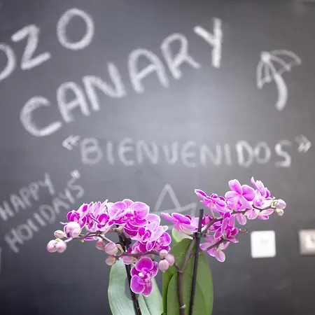 Holiday home Duplex Pozo Canary